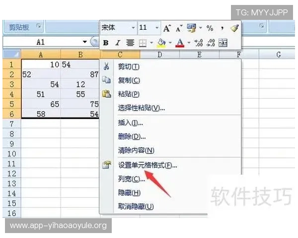 壹号平台下载官方应用的最新版本功能介绍与使用技巧